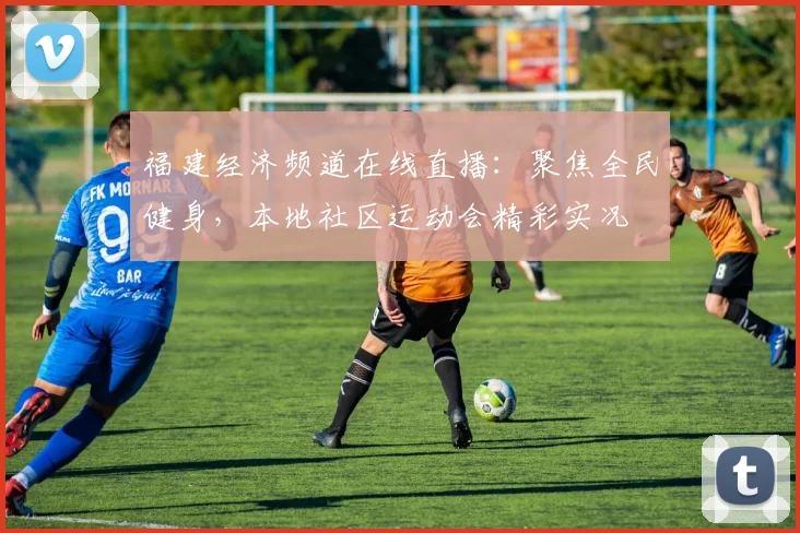福建经济频道在线直播：聚焦全民健身，本地社区运动会精彩实况