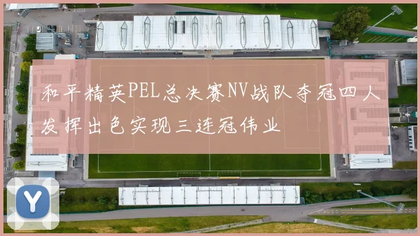 和平精英PEL总决赛NV战队夺冠四人发挥出色实现三连冠伟业