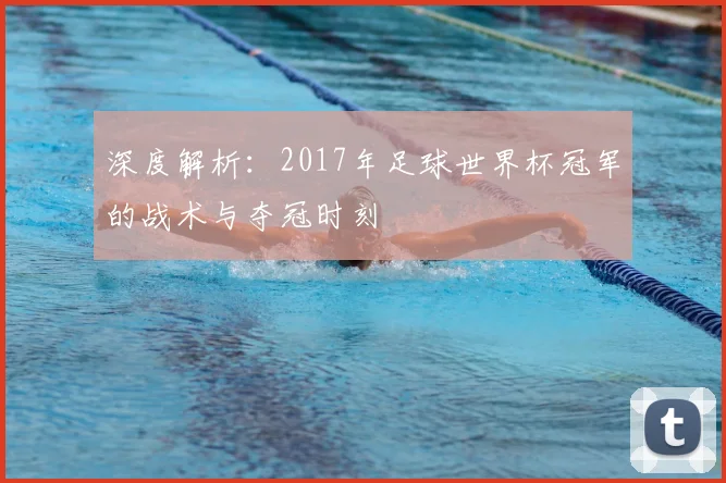 深度解析：2017年足球世界杯冠军的战术与夺冠时刻