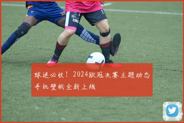 球迷必收！2024欧冠决赛主题动态手机壁纸全新上线