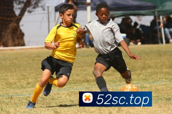 米兰体育在线登录入口服务体系